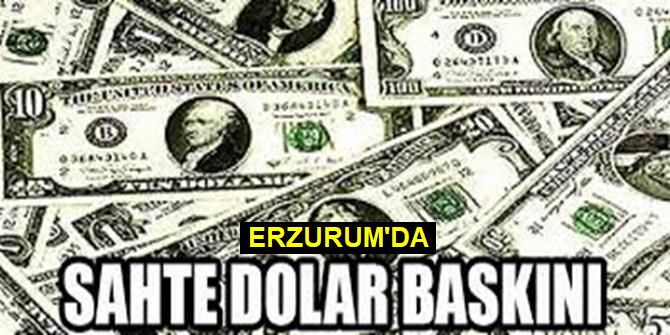 Erzurum'da Sahte Dolar Operasyonu