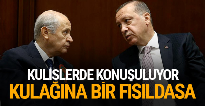 Devlet Bey Cumhurbaşkanının kulağına bir fısıldasa