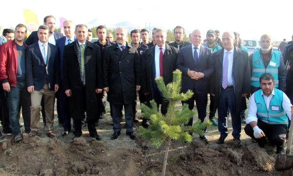 Erzurum'da Cezalarını Fidan Dikerek Ödüyorlar