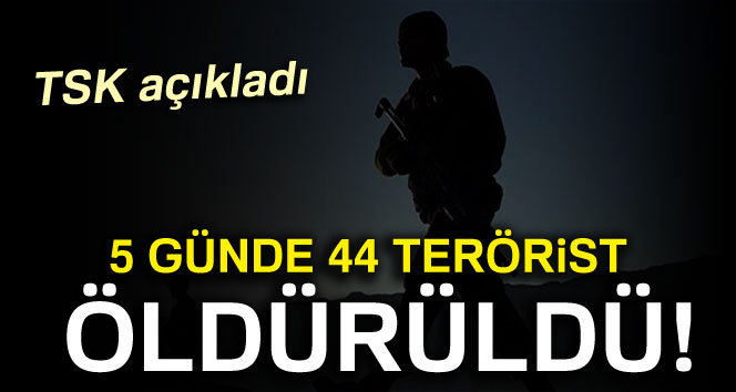 Zap'ta 5 günde 44 terörist öldürüldü!