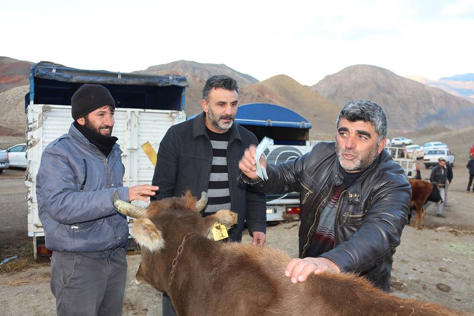 Oltu Hayvan pazarında satan çok alan yok