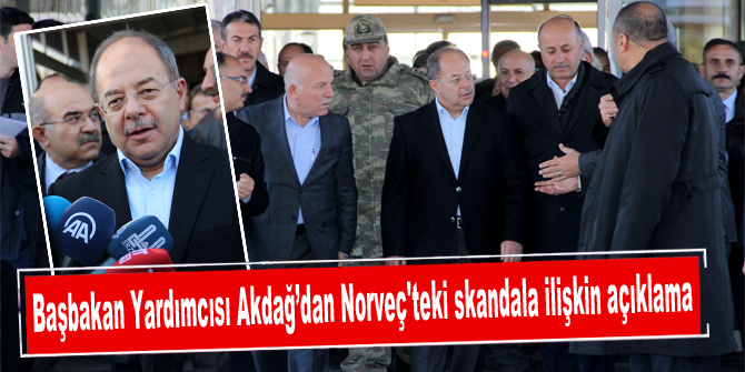 Başbakan Yardımcısı Akdağ’dan Norveç'teki skandala ilişkin açıklama: