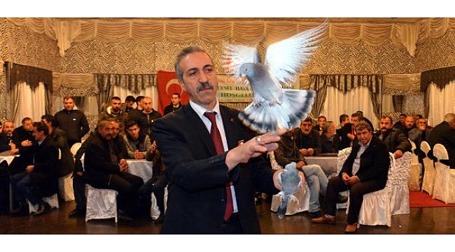 Erzurum Taklacı Güvercinler Yarıştırıldı