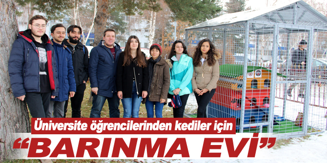 Üniversite öğrencilerinden kampüsteki kediler için “barınma evi”