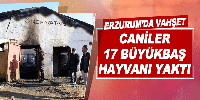 Erzurum'da 17 büyükbaş hayvanı ateşe verdiler