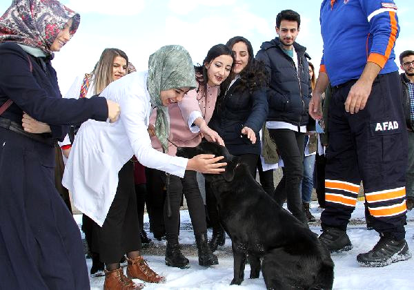 Özel Eğitimli 'Arya'ya Üniversite Öğrencilerinden Yoğun İlgi