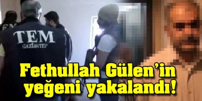 Örgüt Elebaşı Gülen'in Yeğeni Yakalandı