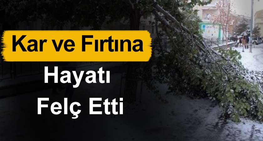 Palandöken'de Fırtına Hayatı Felç Etti