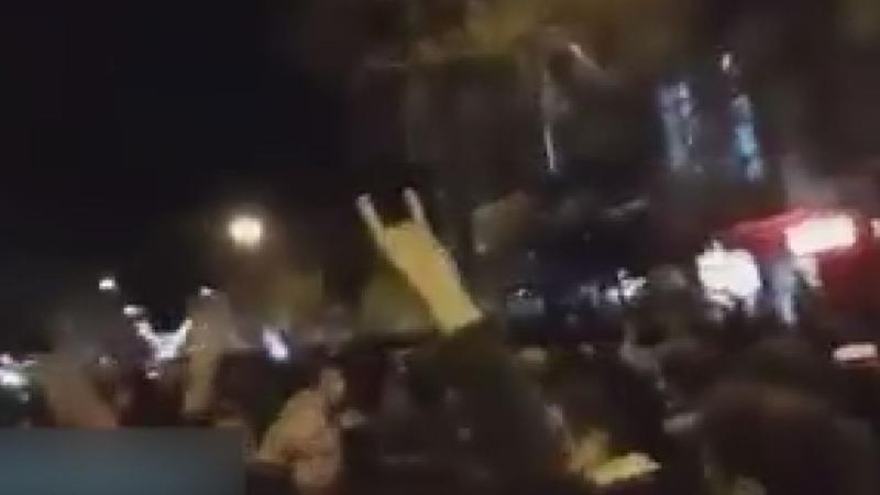 İran'daki eylemlerde Bozkurt işaretleri