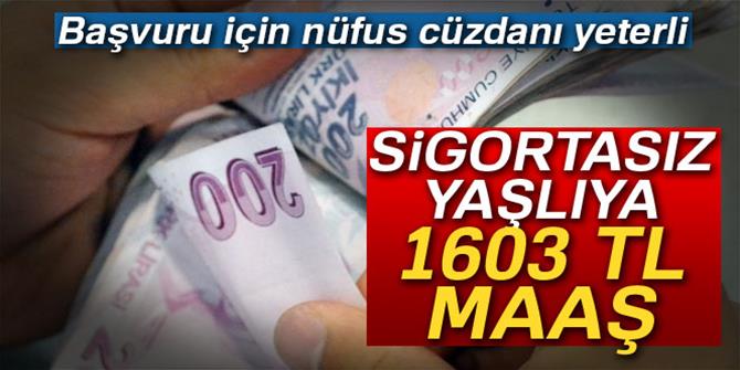 Sigortasız yaşlılara 1603 TL maaş