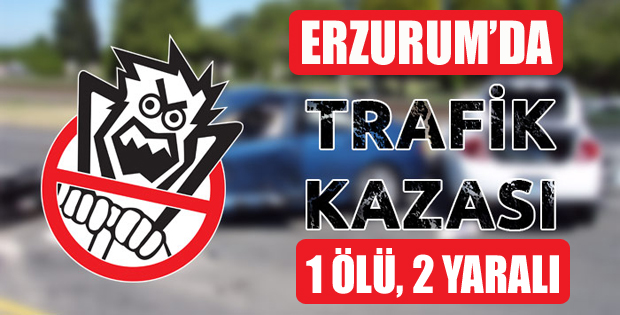 Erzurum'da Trafik Kazası: 1 Ölü, 2 Yaralı