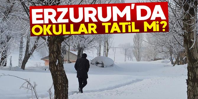 Erzurum'da pazartesi okullar tatil mi?