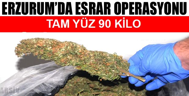 Erzurum’da 190 kilogram esrar ele geçirildi