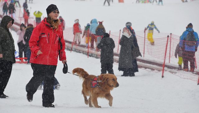 Jandarmanın Arama Köpeği Gurbet, Palandöken'in Koruyucusu