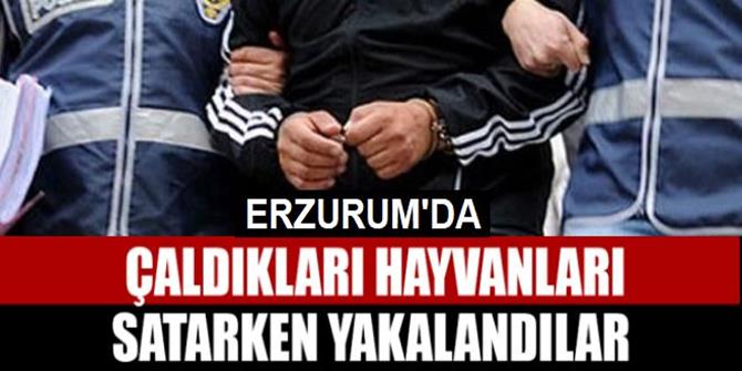 Erzurum'da 3 şüpheli yakalandı
