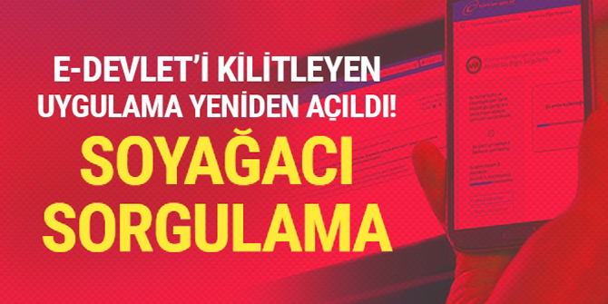 E-devlet soyağacı sorgulama sayfası hizmete açıldı!