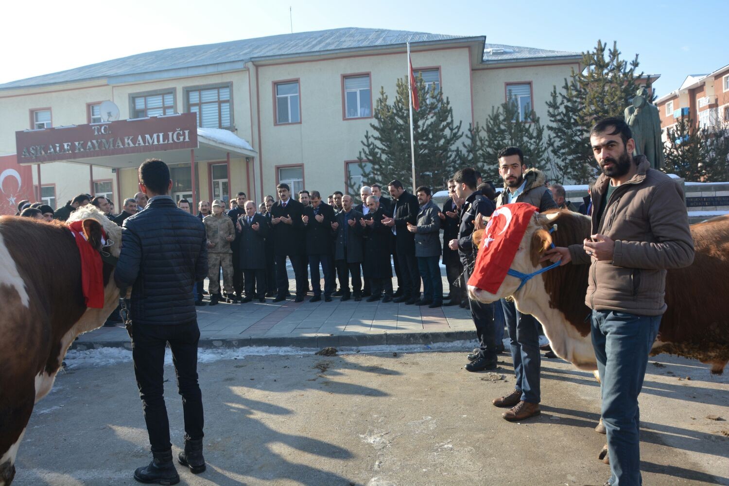 Aşkale’den Afrin’deki Mehmetçiğe 2 adet tosun gönderdiler