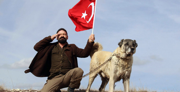Kangal köpekleri Zeytin Dalı Harekatı için Afrin'e gidiyor