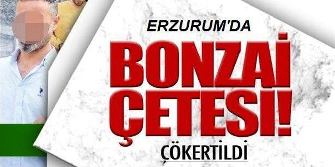 Erzurum’da 17 kişilik ‘bonzai’ çetesi çökertildi