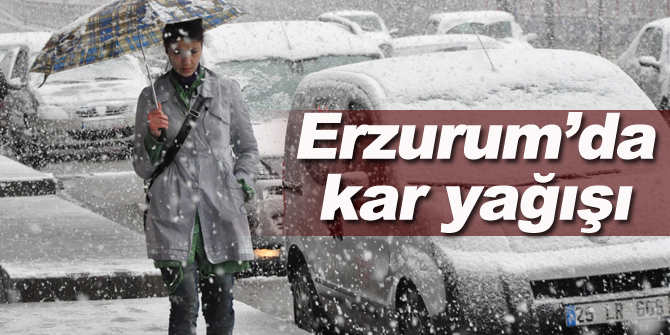 Erzurum’da kar yağışı