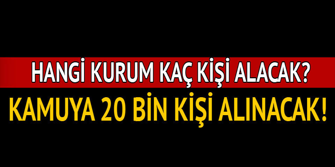 Kamuya 20 bin kişi alınacak! İşte alım yapacak kurumlar