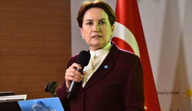 Meral Akşener son anketi açıkladı