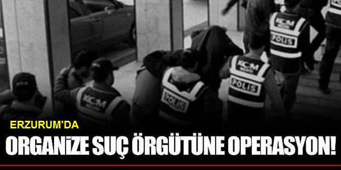 Erzurum'da Suç Örgütüne Operasyon: 10 Gözaltı