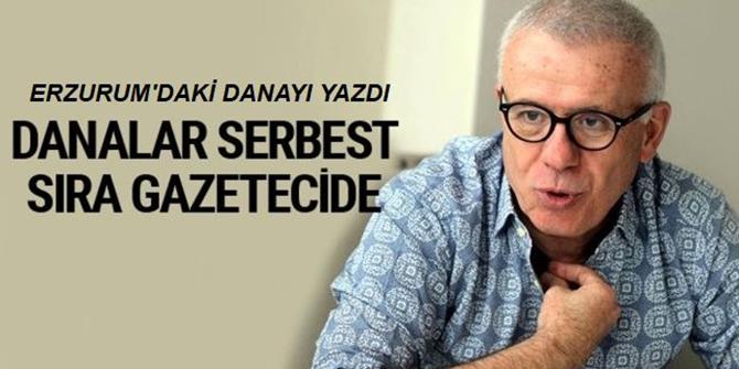 Danalar serbest sıra gazetecide