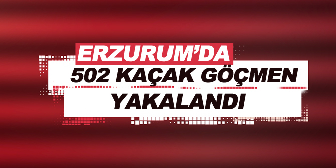 Erzurum'da 502 Kaçak Göçmen Yakalandı