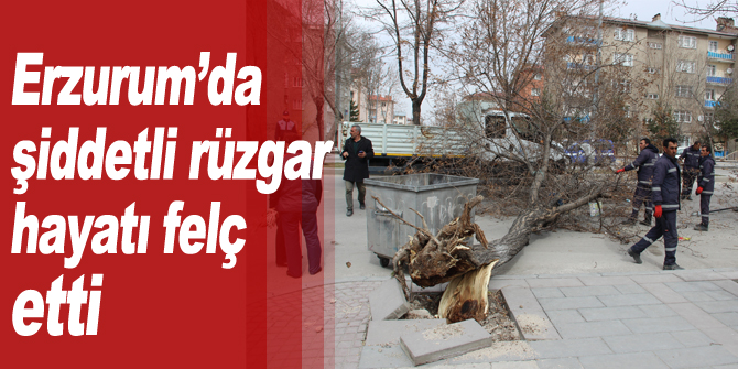 Erzurum’da şiddetli rüzgar hayatı adeta felç etti