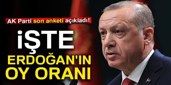 İşte Erdoğan'ın oy oranı...