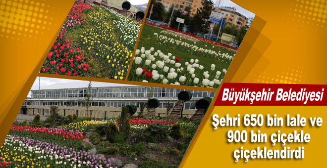 Şehre 650 bin lale, 900 bin çiçek dikti