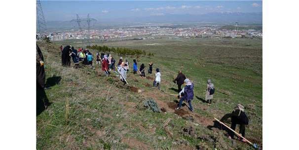 Palandöken Belediyesi Fidan Dikim Seferberliği Başlattı