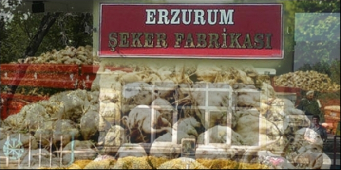 Erzurum şekere müşteri çıktı