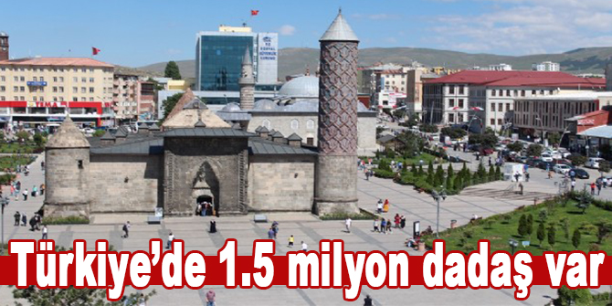 Türkiye’de 1.5 milyon dadaş var