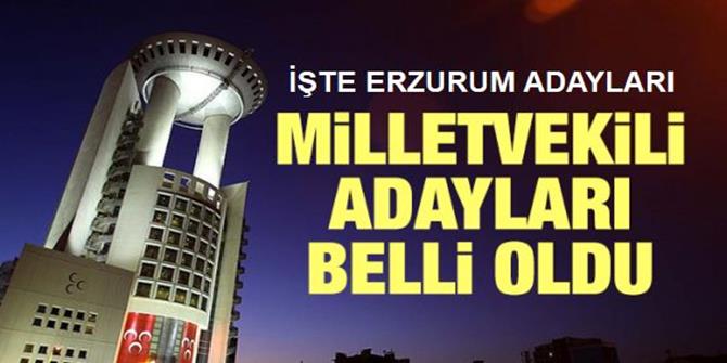 İşte MHP'nin Milletvekili adayları