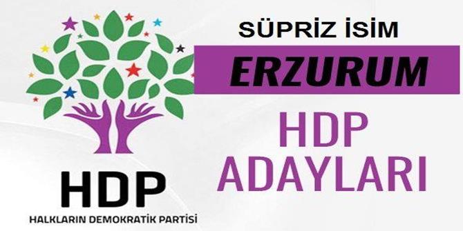 İşte HDP'nin Erzurum adayı