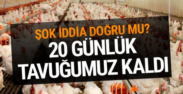 Şok iddia! 20 günlük tavuk kaldı fiyat 2 kat artabilir!