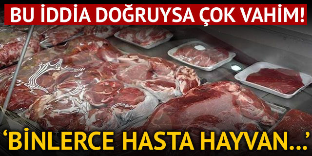 Türkiye Polonya'dan 3 bin hasta sığır eti ithal etmiş!