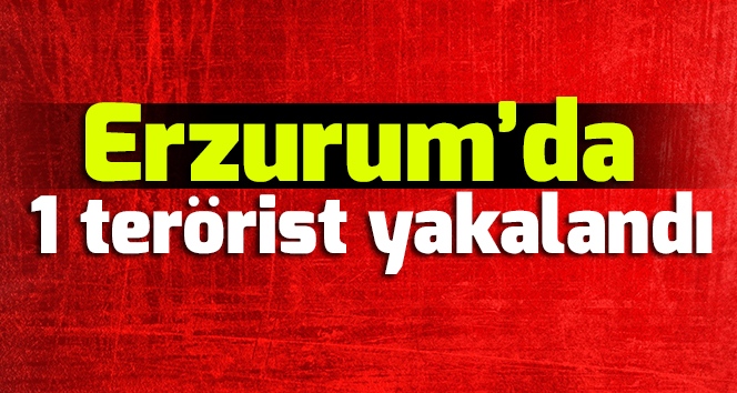 Erzurum'da 1 terörist yakalandı