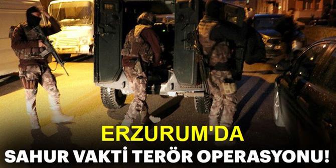 Erzurum'da terör operasyonu