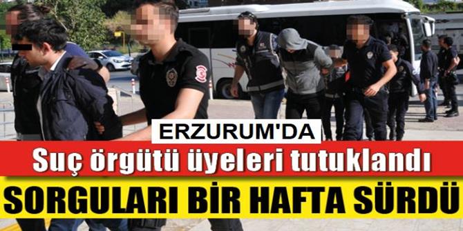 Suç Örgütü Zanlılarına Tutuklama