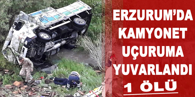 Erzurum'da kamyonet uçuruma yuvarlandı