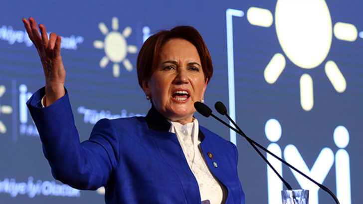 Meral Akşener’den Erdoğan’a: Damadınız AA’ya ‘yüzde 52 göster’ dedi mi?