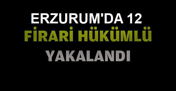 Erzurum'da firari 12 hükümlü yakalandı