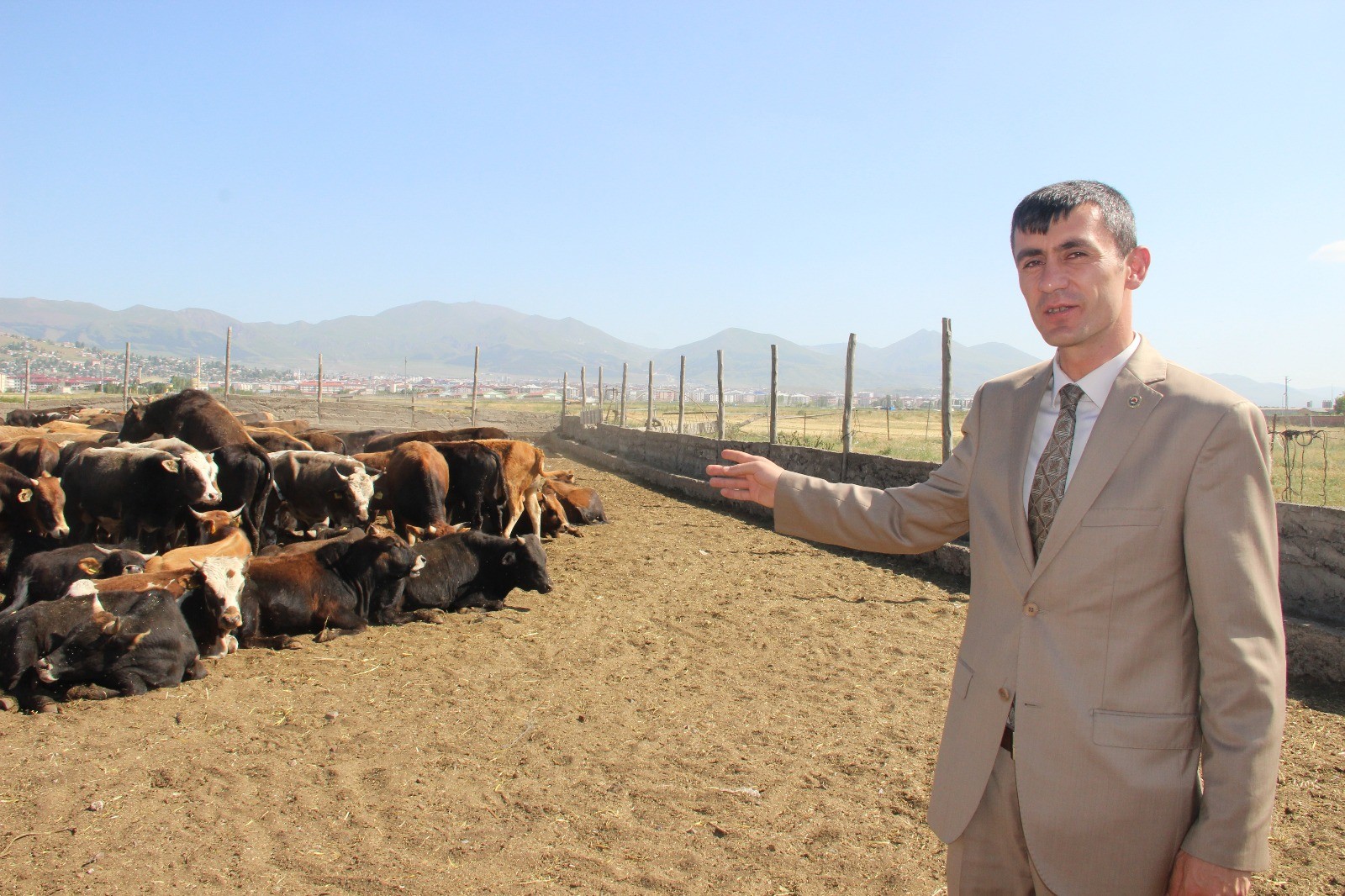 Erzurumlu üreticiler Kurban Bayramı'na hazır