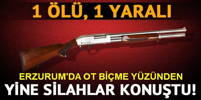 Erzurum'da ot biçme kavgası: 1 ölü, 1 yaralı
