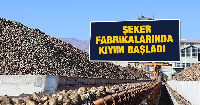 Şeker fabrikalarında kıyım başladı