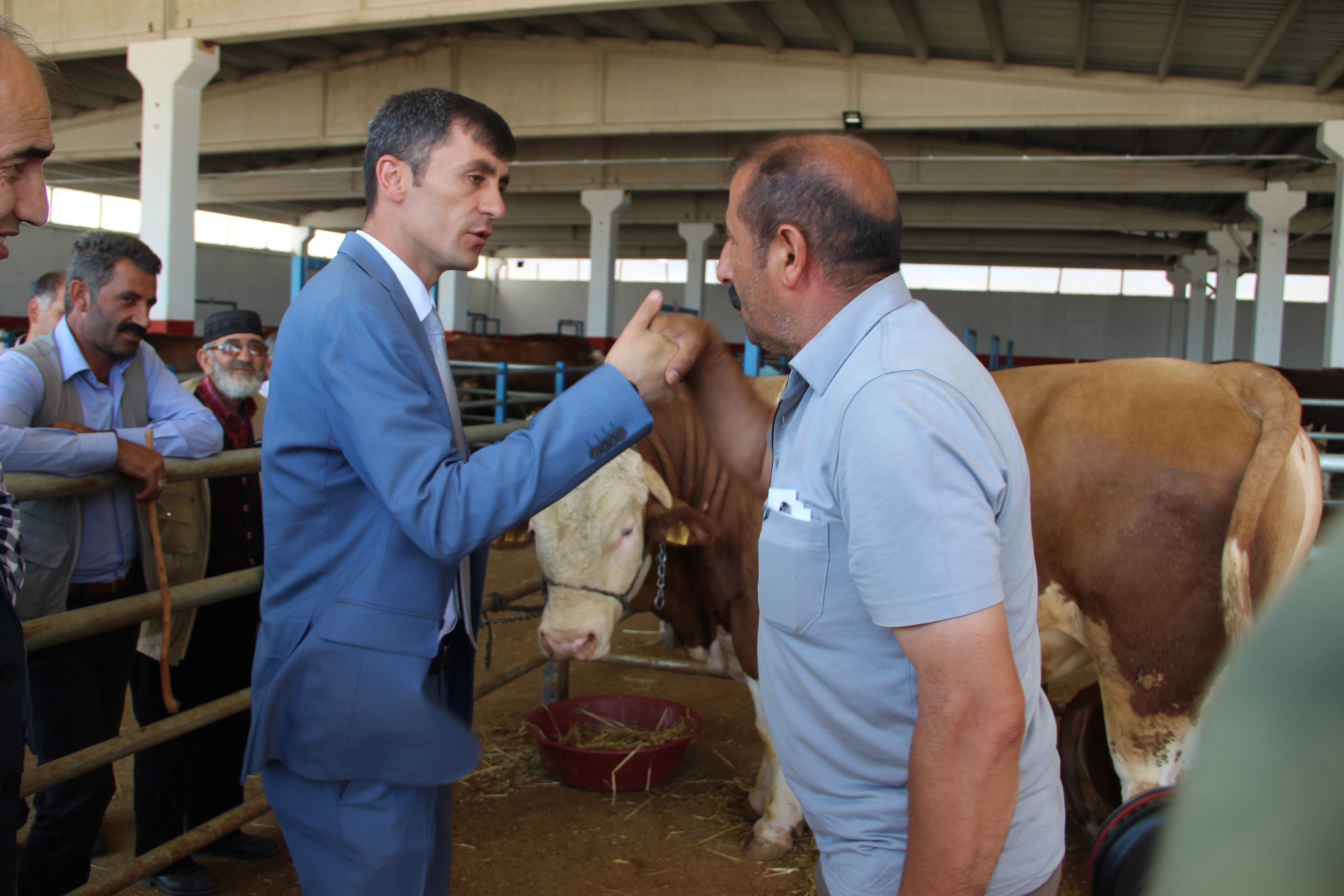 Erzurum hayvan pazarında hareketlilik artıyor