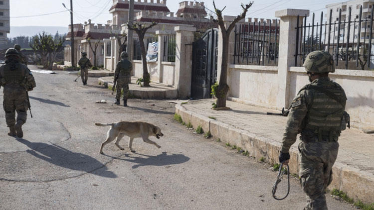 Afrin'de bulvarlara Recep Tayyip Erdoğan ve Zeytin Dalı isimleri verildi